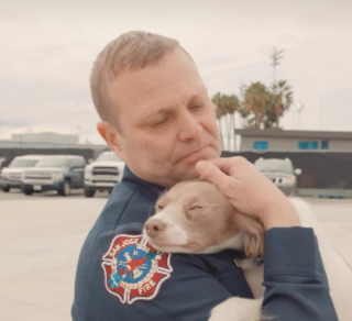 Illustration de l'article : Un chiot errant bless&eacute; se r&eacute;fugie dans une caserne et l'un des pompiers devient sa famille d'accueil