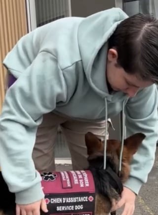 Illustration de l'article : En situation de handicap psychique, un jeune homme de 18 ans compte sur la pr&eacute;cieuse pr&eacute;sence sa chienne d&rsquo;assistance malgr&eacute; les refus d'acc&egrave;s publics