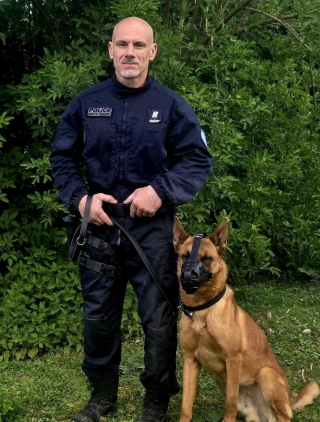 Illustration de l'article : Enferm&eacute; dans une caisse &agrave; l'arri&egrave;re d'un utilitaire, ce Malinois de 15 mois rena&icirc;t gr&acirc;ce &agrave; un policier qui le forme pour devenir chien d'intervention