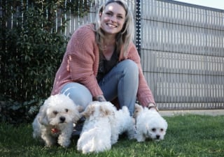 Illustration de l'article : Une &eacute;ducatrice accueille une chienne Bichon Maltais 2 heures apr&egrave;s sa mise bas et lui promet de faire d&eacute;couvrir le monde &agrave; ses chiots