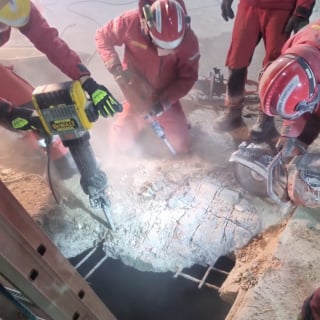 Illustration de l'article : 40 pompiers d&eacute;coupent une dalle de b&eacute;ton pour sauver un cheval de 650 kilos tomb&eacute; et coinc&eacute; dans une fosse septique