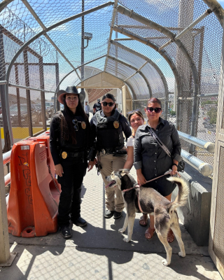 Illustration de l'article : D&eacute;couvert par des agents animaliers texans, un chien identifi&eacute; gr&acirc;ce &agrave; sa puce retrouve sa famille mexicaine sur le Pont des Am&eacute;riques