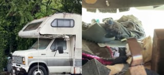 Illustration de l'article : Plus de 40 chats d&eacute;couverts dans un camping-car insalubre et surpeupl&eacute; ont droit &agrave; un nouveau d&eacute;part apr&egrave;s leur sauvetage (vid&eacute;o)