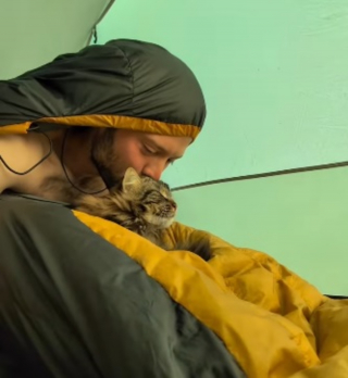 Illustration de l'article : Cette chatte baroudeuse accompagne son ma&icirc;tre &agrave; pied de Marne-la-Vall&eacute;e &agrave; Strasbourg et l&rsquo;aide &agrave; surmonter sa d&eacute;pression