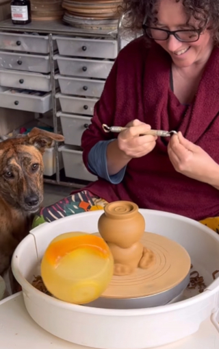 Illustration de l'article : Sous les yeux attendris de sa ma&icirc;tresse, ce chien d&eacute;pose son jouet sur le tour de potier et s'amuse &agrave; le regarder tourner (vid&eacute;o)