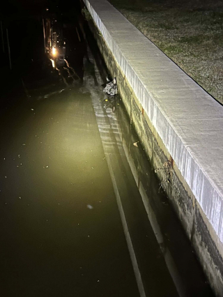 Illustration de l'article : Un Malinois perdu erre aux abords d'un canal et finit par y tomber, un policier le sauve avec un lasso improvis&eacute;