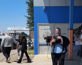 Illustration de l'article : Prostr&eacute; dans un coin de son refuge, un chien finit par s&rsquo;ouvrir au monde gr&acirc;ce &agrave; une b&eacute;n&eacute;vole venue le promener (vid&eacute;o)