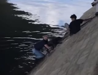 Illustration de l'article : Des passants unissent leurs efforts pour sauver un chien tomb&eacute; dans la Seine &agrave; Paris (vid&eacute;o)