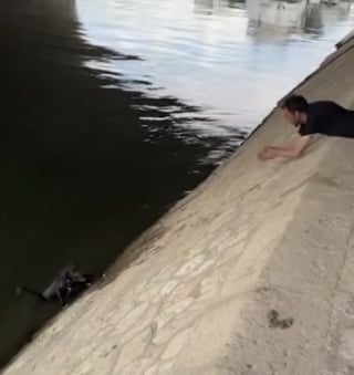 Illustration de l'article : Des passants unissent leurs efforts pour sauver un chien tomb&eacute; dans la Seine &agrave; Paris (vid&eacute;o)