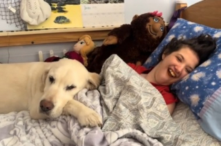 Illustration de l'article : L'attitude poignante d'un chien de th&eacute;rapie qui pleure en entrant dans la chambre vide de son humaine d&eacute;c&eacute;d&eacute;e la veille (vid&eacute;o)