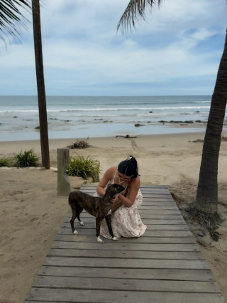 Illustration de l'article : Pendant leurs vacances, ils croisent le regard d&rsquo;une chienne errante sur une plage et d&eacute;cident imm&eacute;diatement de changer sa vie (vid&eacute;o)