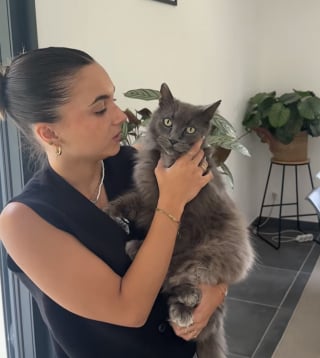Illustration de l'article : 8 mois apr&egrave;s avoir tout perdu dans un incendie, une famille de Marseille retrouve avec &eacute;motion son chat disparu (vid&eacute;o)