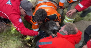 Illustration de l'article : Une secouriste se faufile dans un passage souterrain &eacute;troit pour sauver un chien coinc&eacute; &agrave; plus de 6 m&egrave;tres de profondeur