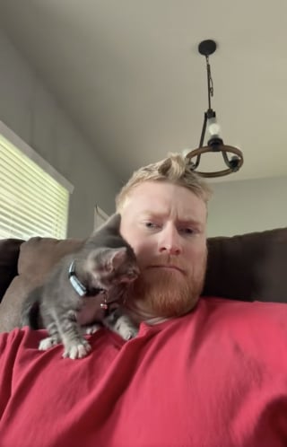 Illustration de l'article : Ce chaton fait tout pour s&eacute;duire un homme qui n'aime pas les chats et finit par devenir son compagnon ins&eacute;parable (vid&eacute;o)