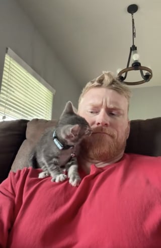 Illustration de l'article : Ce chaton fait tout pour s&eacute;duire un homme qui n'aime pas les chats et finit par devenir son compagnon ins&eacute;parable (vid&eacute;o)