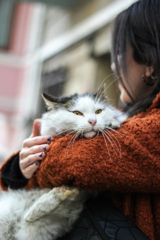 Illustration de l'article : 12 preuves que votre chat ressent un amour profond &agrave; votre &eacute;gard