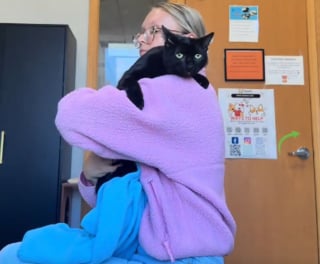 Illustration de l'article : Ce chat noir traumatis&eacute; et qui se cachait syst&eacute;matiquement pendant les 899 pass&eacute;s au refuge a enfin &eacute;t&eacute; adopt&eacute; (vid&eacute;o)