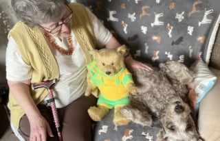 Illustration de l'article : Sauvée en même temps que 250 animaux, cette chienne commence une nouvelle vie à 13 ans, aux côtés d’adoptants ravis