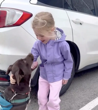 Illustration de l'article : Après quelques jours d'attente, une fillette retrouve la chienne borgne qui l'a marquée au refuge et l'adopte (vidéo)