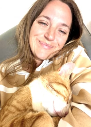 Illustration de l'article : Ce chat errant en qu&ecirc;te d&rsquo;affection d&eacute;cide de choisir une famille dans la rue et trouve enfin un foyer (vid&eacute;o)