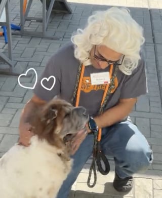 Illustration de l'article : Cette chienne de refuge se méfiait des hommes jusqu’à ce que son soigneur mette une perruque pour gagner sa confiance (vidéo)