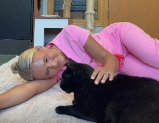 Illustration de l'article : A 8 ans, cet affectueux chat noir atteint du FIV attend depuis 7 mois une famille prête à l’aimer (vidéo)