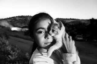 Illustration de l'article : 10 chats qui ont transformé une simple photo en oeuvre d’art