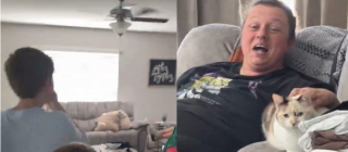 Illustration de l'article : La surprise pr&eacute;par&eacute;e par leurs parents tourne &agrave; l&rsquo;&eacute;motion totale quand 2 gar&ccedil;ons retrouvent leur chat disparu depuis 7 mois (vid&eacute;o)