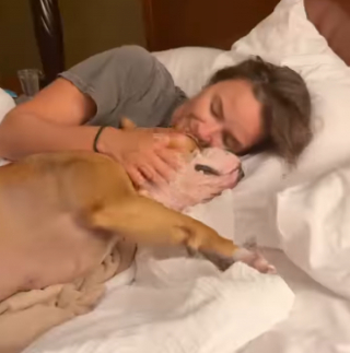 Illustration de l'article : Une famille d'accueil vit des adieux &eacute;mouvants avec la chienne dont elle prenait soin depuis un an (vid&eacute;o)