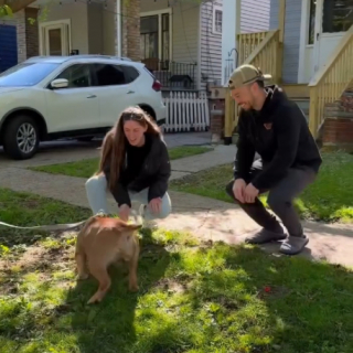 Illustration de l'article : Une famille d'accueil vit des adieux &eacute;mouvants avec la chienne dont elle prenait soin depuis un an (vid&eacute;o)