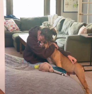 Illustration de l'article : Une famille d'accueil vit des adieux &eacute;mouvants avec la chienne dont elle prenait soin depuis un an (vid&eacute;o)