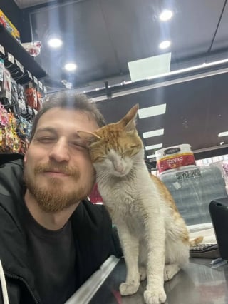 Illustration de l'article : Le rituel tendre et &eacute;mouvant d'un chat qui saute quotidiennement sur le comptoir pour &eacute;treindre le commer&ccedil;ant qui lui a offert l'hospitalit&eacute; (vid&eacute;o)