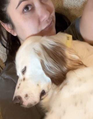 Illustration de l'article : Cette automobiliste sauve en vid&eacute;o un malheureux chien &eacute;puis&eacute; qui suppliait les passants pour survivre