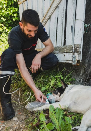 Illustration de l'article : Les pompiers mobilisent une équipe spécialisée et creusent la chaussée pour sauver un chien bloqué dans un conduit sous la route