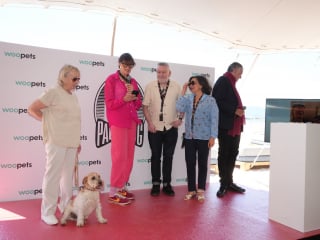 Illustration de l'article : Adopt&eacute;e en refuge, Yuri du film &laquo; La Chienne &raquo; (&laquo; La Perra &raquo;) remporte Palm Dog 2026