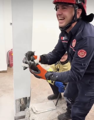 Illustration de l'article : Pour sauver un chaton coincé dans un des piliers d'un restaurant, les pompiers n'hésitent pas à y creuser un trou (vidéo)