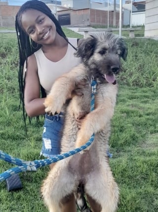 Illustration de l'article : Une femme adopte un minuscule chiot noir jet&eacute; dans un sac et filme sa transformation physique totale en seulement quelques mois