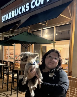 Illustration de l'article : Un Caniche âgé patiente une nuit sur la terrasse d’un Starbucks, jusqu’à ce qu’on le remarque et qu’il retrouve ses maîtres inquiets