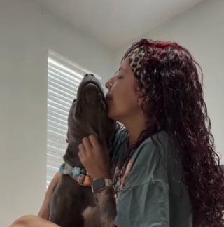 Illustration de l'article : &laquo; Maintenant elle peut simplement &ecirc;tre une chienne &raquo;, une chienne sauv&eacute;e d&eacute;couvre enfin le bonheur apr&egrave;s avoir lutt&eacute; pour survivre (vid&eacute;o)