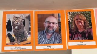 Illustration de l'article : Un chat saute d’une péniche et choisit de s’installer dans un manoir du XVIe siècle où il fait le bonheur des visiteurs (vidéo)