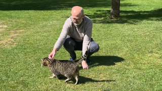 Illustration de l'article : Un chat saute d’une péniche et choisit de s’installer dans un manoir du XVIe siècle où il fait le bonheur des visiteurs (vidéo)