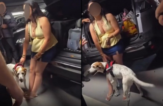 Illustration de l'article : Son chien enferm&eacute; dans le coffre de sa voiture, elle revient au bout de 3 heures en demandant aux policiers s'il &laquo; chouinait &raquo;