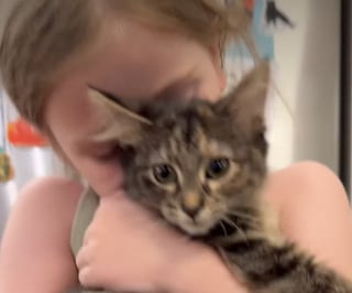 Illustration de l'article : Une fillette de 5 ans doit dire au revoir à son chaton d’accueil, mais comprend pourquoi c’est une bonne nouvelle (vidéo)