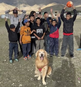 Illustration de l'article : En plein road trip, ce Golden Retriever fait une pause football avec des enfants (vidéo)