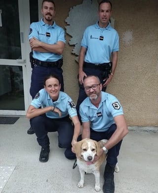Illustration de l'article : Des gendarmes recueillent un chien en fugue et l'emmènent chez le vétérinaire pour l'identifier