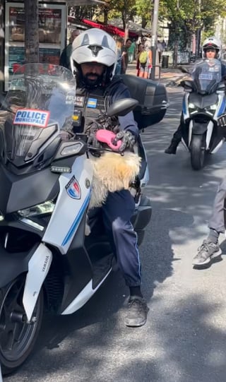 Illustration de l'article : À Marseille, les forces de l'ordre interviennent in extremis pour libérer un chien piégé sur un balcon en plein soleil