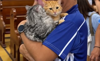 Illustration de l'article : À Manille et à Santiago, les prêtres bénissent les animaux à l’occasion de la fête de Saint François d’Assise