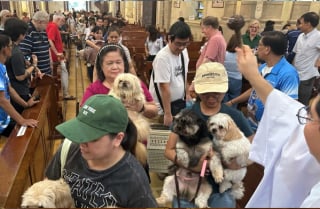 Illustration de l'article : À Manille et à Santiago, les prêtres bénissent les animaux à l’occasion de la fête de Saint François d’Assise