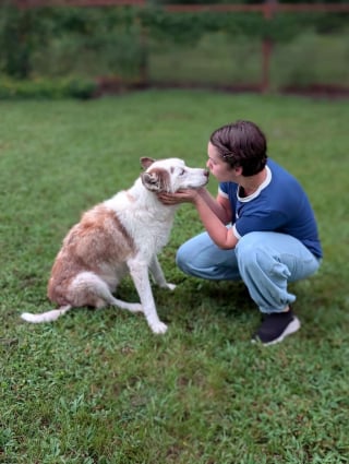 Illustration de l'article : Après des mois de soins, ce chien à la peau enflammée, aux griffes trop longues et au pelage sale ressemble enfin à un Husky