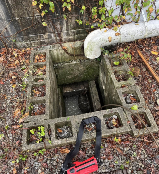 Illustration de l'article : Piégé depuis plusieurs jours dans une canalisation, ce chien désespérément tente de se faire entendre